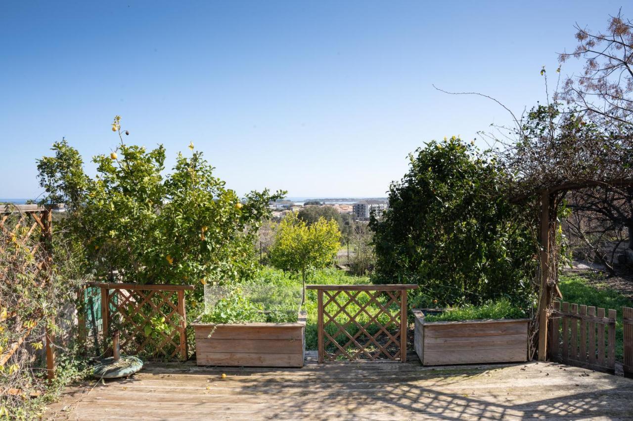Corsica Fiurita Apartment Furiani Ngoại thất bức ảnh